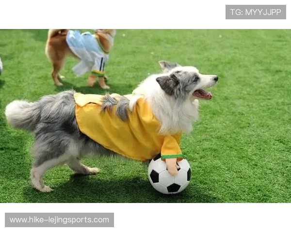 足球球星们的宠物狗名字大揭秘 这些萌宠背后的故事你知道吗